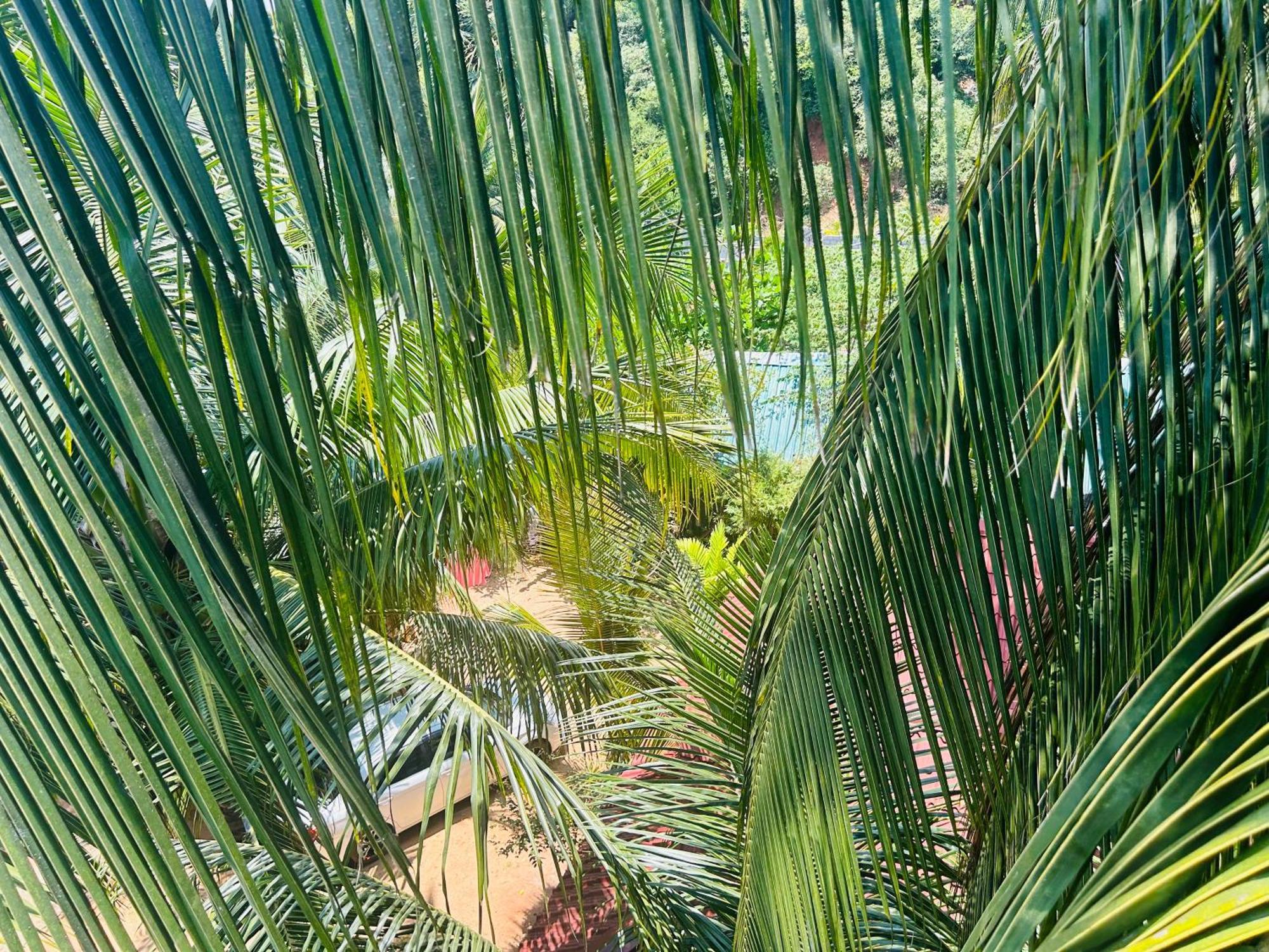 Pearl Bungalow Trincomalee Exteriér fotografie